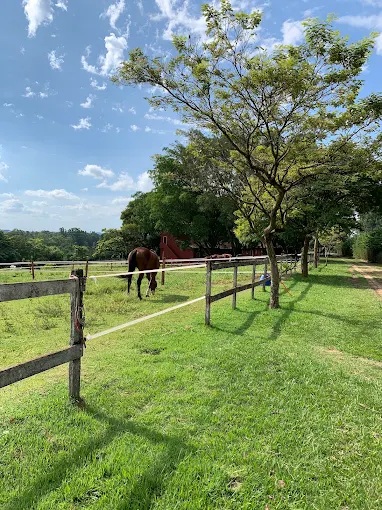 Piquetes arborizados para os cavalos da Hípica Fred Amaral